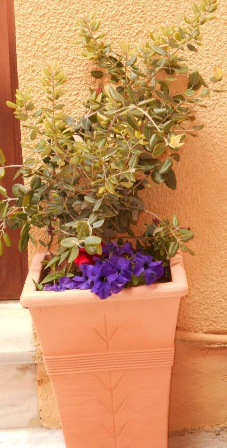 Elegant And Comfortable Apartment In The City Center Ermoupoli Exterior photo